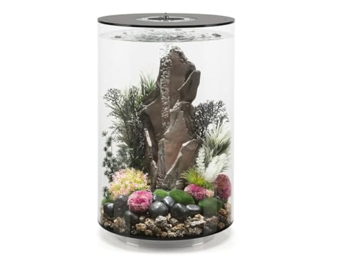 biOrb Tube 30 MCR schwarz - Tabletop Aquarium für Elegante Designvarianten, mit patentiertem Filtersystem biOrb Tube 30 MCR schwarz - Tabletop Aquarium für Elegante Designvarianten, mit patentiertem Filtersystem von biOrb