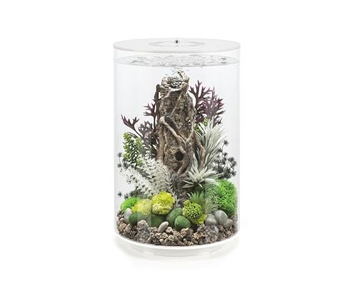 biOrb Tube 30 MCR weiß - Design-Aquarium, Komplettset mit Filtersystem, 360-Grad-Blick biOrb Tube 30 MCR weiß - Design-Aquarium, Komplettset mit Filtersystem, 360-Grad-Blick von biOrb