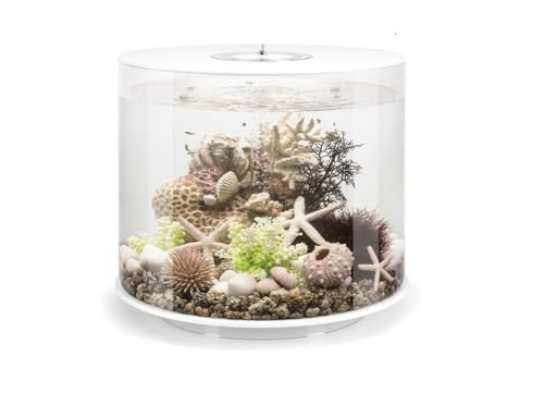 biOrb Tube 35 MCR weiß - Elegantes Design-Aquarium, Komplettset mit Filtersystem, 360-Grad-Blick biOrb Tube 35 MCR weiß - Elegantes Design-Aquarium, Komplettset mit Filtersystem, 360-Grad-Blick von biOrb