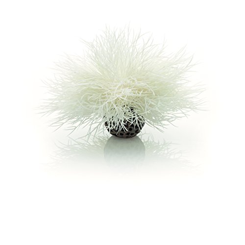 biOrb 46078 Aquarien Seelilie, weiß – kleine Aquariumdekoration (10 x 10 x 11 cm), detaillierte Wasserpflanze aus Kunststoff, für Süßwasseraquarien, Meerwasseraquarien von biOrb