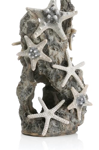 biOrb 46132 Seesternfelsen Ornament - Aquariumdekoration, Einrichtung von Süßwasser und Meerwasseraquarien, künstlicher Felsen als Versteck oder Höhle tierische Bewohner biOrb 46132 Seesternfelsen Ornament - Aquariumdekoration, Einrichtung von Süßwasser und Meerwasseraquarien, künstlicher Felsen als Versteck oder Höhle tierische Bewohner von biOrb