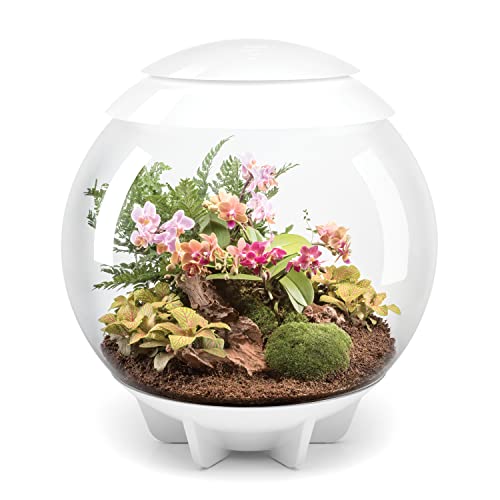 biOrb 46147 biOrb AIR 60 weiß, Automatisches Terrarium zur bequemen Pflanzenpflege, Acryl von biOrb