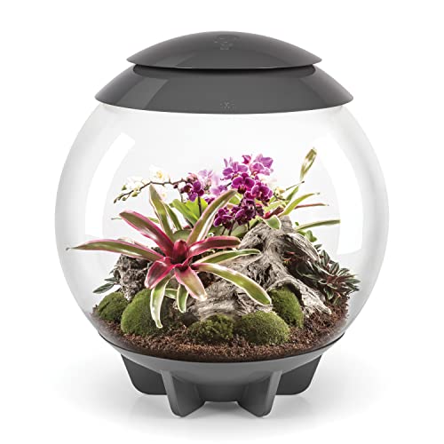 biOrb 46148 biOrb AIR 60 grau, Automatisches Terrarium zur bequemen Pflanzenpflege, Acryl von biOrb