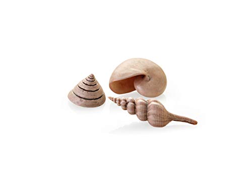 biOrb 48355 Muschel Set natural, 3er-Set - detailgetreue Keramik-Muscheln, Aquarium Dekoration, für alle biOrb Aquarien von biOrb