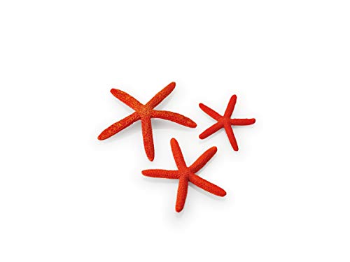 biOrb 48356 Seestern Set 3 rot – künstliche Seesterne zur Dekoration des heimischen Süßwasseraquariums oder Meerwasseraquariums von biOrb