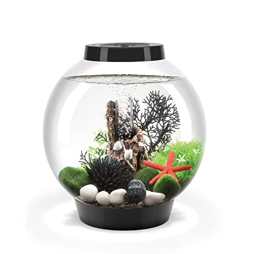 biOrb 71999 CLASSIC 15 LED, 15 L, schwarz - dekoratives, rundes Acryl-Aquarium, Komplett-Set mit patentiertem Filtersystem, LED-Beleuchtung biOrb 71999 CLASSIC 15 LED, 15 L, schwarz - dekoratives, rundes Acryl-Aquarium, Komplett-Set mit patentiertem Filtersystem, LED-Beleuchtung von biOrb