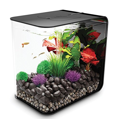 biOrb 72033 FLOW 30 LED in schwarz – elegantes Design-Aquarium Komplett-Set mit Filter-System, LED-Beleuchtung, Boden-Kies und Luftausströmer aus widerstandsfähigem Acryl-Glas von biOrb