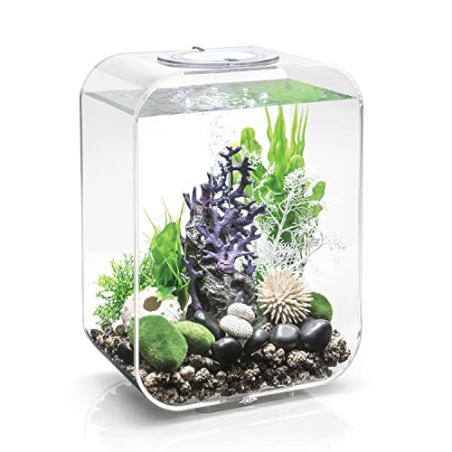 biOrb 72047 LIFE 15 LED transparent - dekoratives 15 Liter Aquarium Komplett-Set mit Filtersystem, LED-Beleuchtung und Keramik-Bodengrund aus robustem Acryl-Glas von biOrb