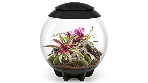 biOrb 72557 biOrb AIR 60 schwarz, Automatisches Terrarium zur bequemen Pflanzenpflege, Acryl von biOrb