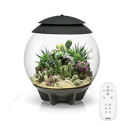 biOrb 71749 AIR 30, grau - automatisches Terrarium zur bequemen Pflanzenpflege, geeignet für empfindliche und exotische Pflanzen von biOrb