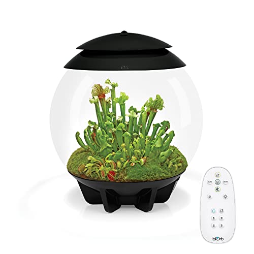 biOrb 72558 AIR 30 schwarz - Terrarium mit LED-Beleuchtung, Acryl-Becken zur Pflanzenpflege, für empfindliche und exotische Pflanzen von biOrb