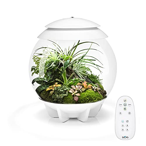 biOrb 71748 AIR 30 weiß - automatisiertes Terrarium mit LED-Beleuchtung, Acryl-Becken zur Pflanzenpflege, für empfindliche und exotische Pflanzen von biOrb