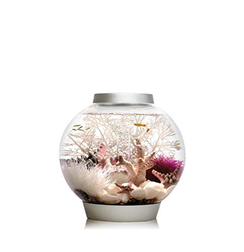 biOrb CLASSIC 15 LED Kugel-Aquarium, 15 Liter - Aquarien Komplett-Set mit LED Beleuchtung und patentiertem Filter-System, Acryl-Becken von biOrb