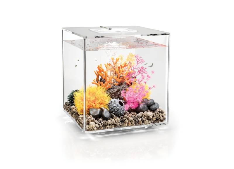 biOrb CUBE 30 MCR transparent (72021) von biOrb