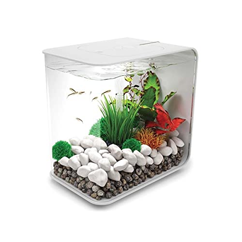 biOrb FLOW 30 - Aquarien-Komplett-Set mit LED Beleuchtung und patentiertem Filter-System, Acryl-Becken biOrb FLOW 30 - Aquarien-Komplett-Set mit LED Beleuchtung und patentiertem Filter-System, Acryl-Becken von biOrb