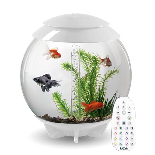 biOrb Halo 30 l Aquarium in Weiß mit MCR LED Beleuchtung von biOrb