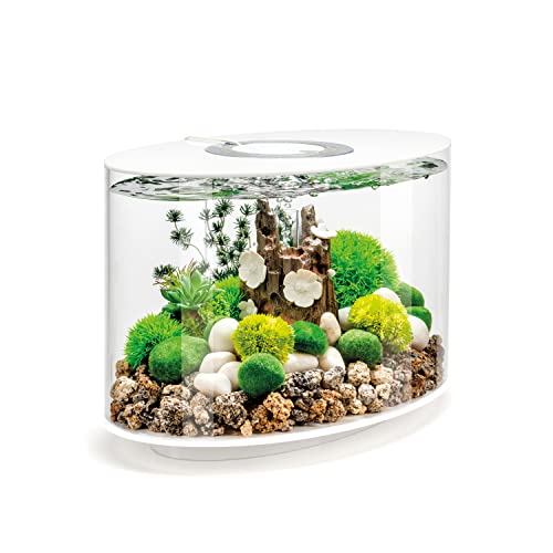 biOrb LOOP 15 LED weiß, 15 Liter - Aquarien-Komplett-Set mit patentiertem Filtersystem, Lichteinheit, Acryl-Becken in elliptischer Form von biOrb