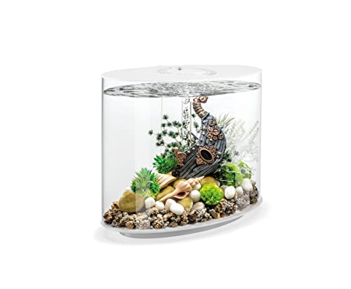biOrb LOOP 30 LED weiß, 30 Liter - Aquarien-Komplett-Set mit patentiertem Filtersystem, Lichteinheit, Acryl-Becken in elliptischer Form biOrb LOOP 30 LED weiß, 30 Liter - Aquarien-Komplett-Set mit patentiertem Filtersystem, Lichteinheit, Acryl-Becken in elliptischer Form von biOrb