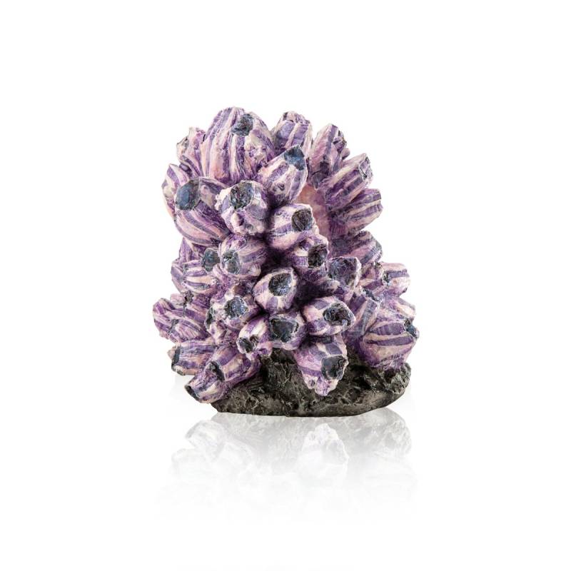 biOrb Rankentraube Ornament (48359) von biOrb