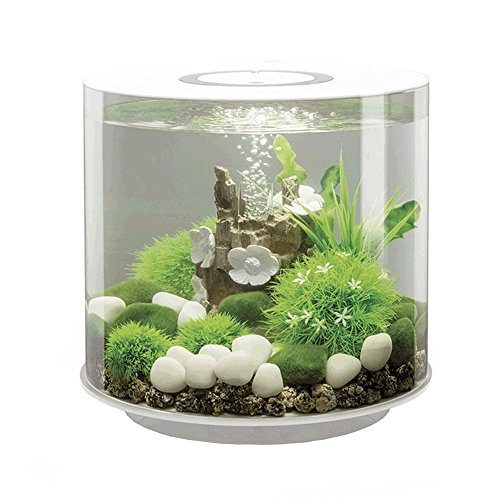 biOrb Tube 15 Aquarium MCR LED – weiß von biOrb