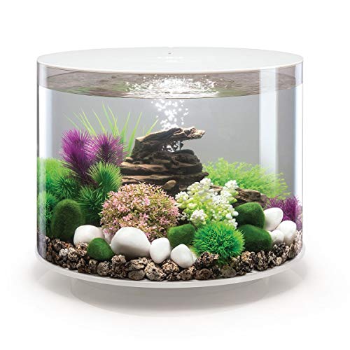 biOrb Aquarium 35 Liter LED weiß für Fisch, Acryl, Oval, Modern, Durchsichtig biOrb Aquarium 35 Liter LED weiß für Fisch, Acryl, Oval, Modern, Durchsichtig von biOrb