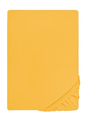 biberna 0077144 Spannbetttuch Feinjersey (Matratzenhöhe max. 22 cm), gekämmte Baumwolle, superweich 1x 180x200 cm - 200x200 cm, leicht gelb von biberna