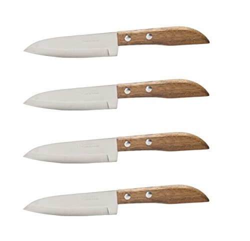bick.shop Küchenmesser mit Holzgriff extrem scharf Obstmesser Steakmesser Sushimesser Allzweckmesser (4) von bick.shop
