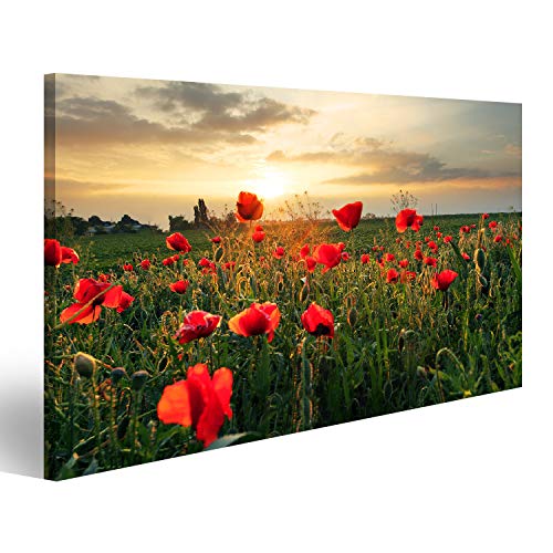 bilderfelix® Bild auf Leinwand Mohnblumen Feldblume bei Sonnenuntergang Wandbild, Poster, Leinwandbild PYC von bilderfelix