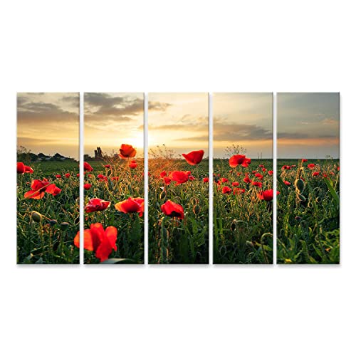 bilderfelix® Bild auf Leinwand Mohnblumen Feldblume bei Sonnenuntergang Wandbild, Poster, Leinwandbild PYC von bilderfelix
