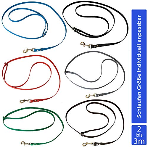 Umhängeleine Joggingleine 2 m aus Biothane, Hundeleine für mittlere und große Hunde I schmutz- und Wasserabweisende Hundeumhängeleine I Hellbraun Umhängeleine Joggingleine 2 m aus Biothane, Hundeleine für mittlere und große Hunde I schmutz- und Wasserabweisende Hundeumhängeleine I Hellbraun von bio-leine