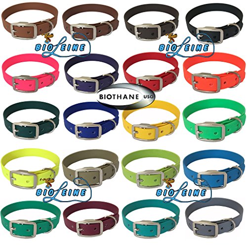 bio-leine Biothane Hundehalsband mit Dornschnalle – Halsband für kleine und große Hunde I schmutz- und wasserabweisend I Dunkelbraun - Halsumfang 20-30 cm von bio-leine