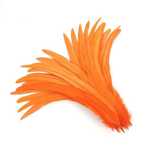 50 Stück/Lot 25–30 cm Hahnenschwanzfedern, Bunte Fasanenfedern zum Basteln, natürliche Federn auf dem Kopf, Karnevalsdekoration, Orange 50 Stück/Lot 25–30 cm Hahnenschwanzfedern, Bunte Fasanenfedern zum Basteln, natürliche Federn auf dem Kopf, Karnevalsdekoration, Orange von birnn