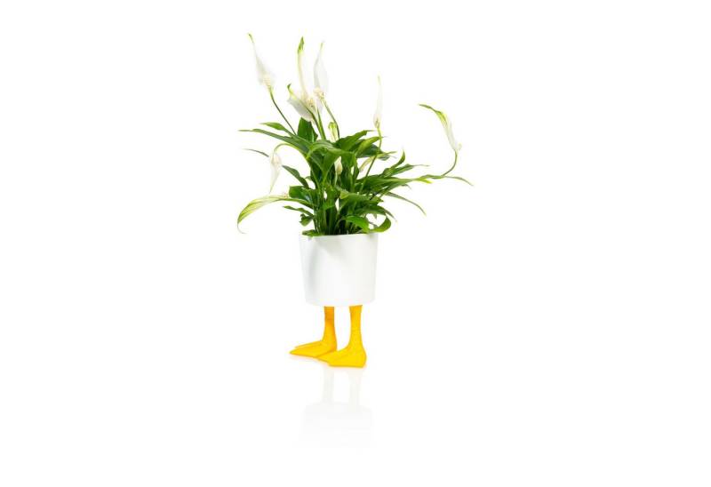 bitten Blumentopf Entenfüße Mini Blumentopf aus Porzellan von bitten