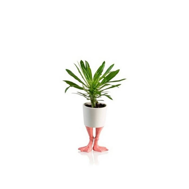 bitten Blumentopf Flamingo Füße Mini Blumentopf aus Porzellan von bitten