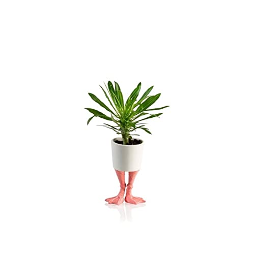 Bitten Flamingo Füße Mini Blumentopf aus Porzellan von Bitten