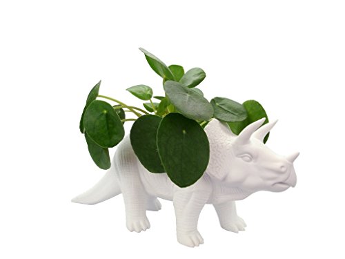 bitten Tricerapot Dino Blumentopf aus Porzellan - Triceratops Pflanzkübel Pflanztopf Dinosaurier Übertopf von Bitten