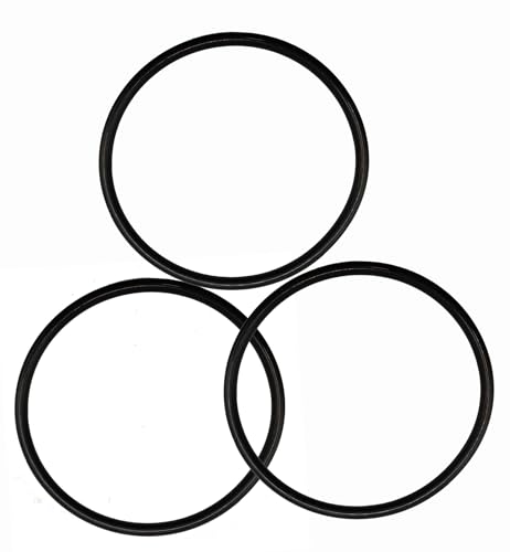 350013 O-318 Deckel O-Ring – kompatibel mit Pentek Pentair IntelliFlo WhisperFlo Challenger Pinnacle Pool und Spa Pumpen (3er Pack) von bizhala