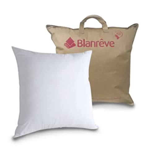 Blanrêve - Traditionelle Kissen – natürlich und umweltfreundlich, Milbenschutz, weicher Komfort – 60 x 60 cm von blanrêve