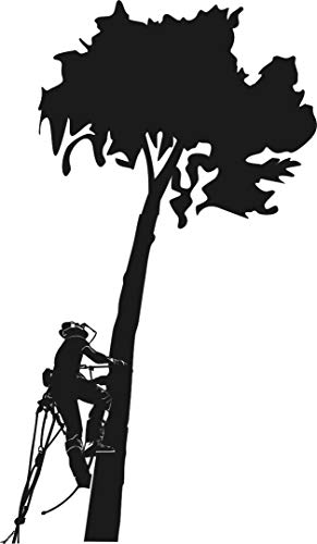 Autoaufkleber Baumkletterer, Baumklettern (Silber Größe: 450 mm x 260 mm) von blattwerk-design