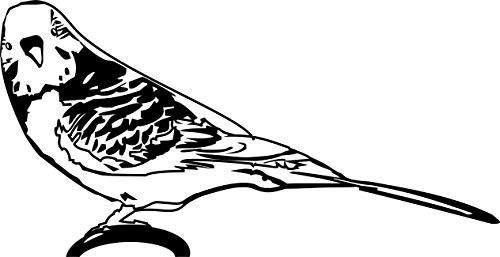 WELLENSITTICH, Vogel, Haustier, Ziervogel, Tiere // Autoaufkleber (Silber - 300 mm x 150 mm) von blattwerk-design