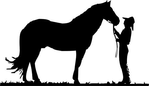 Wandtattoo: Cowboy mit Pferd, Wilder Westen, Reiten, Tiermotiv, Western //Farb- und Größenwahl, Wandaufkleber (Schwarz - 730 mm x 450 mm) von blattwerk-design