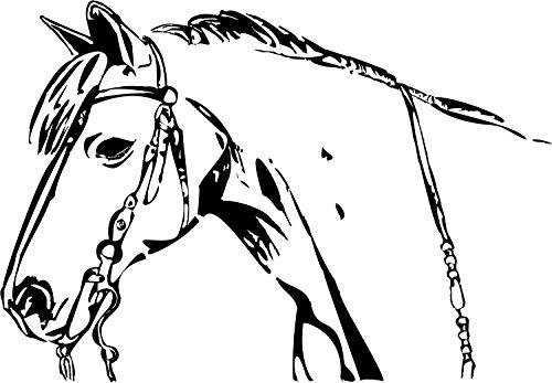 Wandtattoo: 'Haflinger' – Pferd, Reiten, Tiere, Gebirgspferd, Reitsport //Farb- und Größenwahl, Wandaufkleber (Weiß - 860 mm x 600 mm) von blattwerk-design