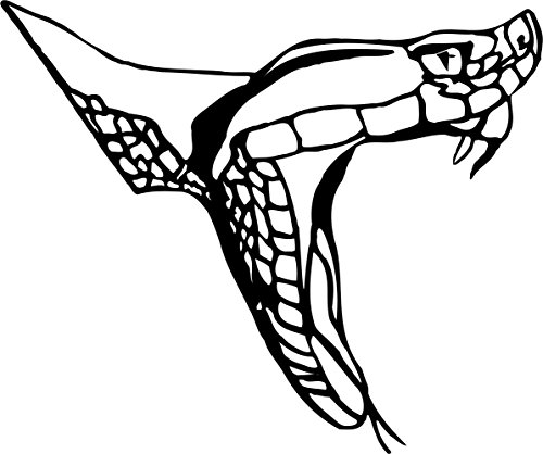 blattwerk-design Autoaufkleber - Schlange - Schlangenkopf- KFZ-Aufkleber (250 mm x 210 mm, Schwarz) von blattwerk-design