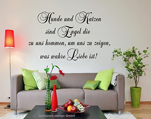 blattwerk-design Wandtattoo, Hunde und Katzen sind Engel die zu Uns kommen, um Uns zu Zeigen, was wahre Liebe ist!, Spruch, Größe ca. 1000 mm x 600 mm, Auswahl (M070 Schwarz) von blattwerk-design