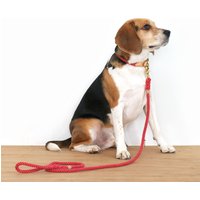 Rote Leine Seil-Haustierleine Für Katzen Und Hunde Mit Messingbeschlägen von blinkthings