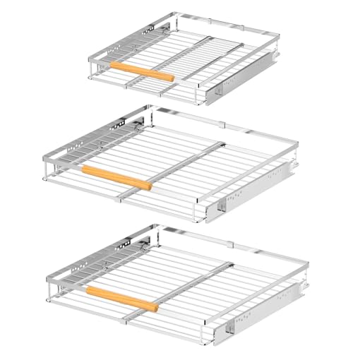 Ausziehbarer Schrank, ausziehbar, Organizer, Regal, Edelstahl, verschiebbar, Küchenorganisation, Regale, strapazierfähig, gleitend, Schrankregal, Trennwand für Küche, Speisekammer, Schrank unter der von blitzlabs