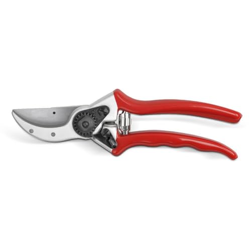 blizz-z Profi Astschere kompakt Länge 215 mm | Gartenschere mit verchromten Klingen | Rosenschere, Rebschere, Astungsschere | Made in Germany blizz-z Profi Astschere kompakt Länge 215 mm | Gartenschere mit verchromten Klingen | Rosenschere, Rebschere, Astungsschere | Made in Germany von blizz-z