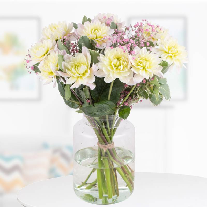 Blumenstrauß Dahlia von blumenshop.de