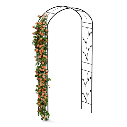 blumfeldt FloraBelle Rosenbogen – Metall-Rosenbogen Mit Dekorativen Blattmustern, Stabiler Pulverbeschichteter Stahlrahmen, Wetterfest, Ideal Für Kletterpflanzen, Einfache Montage, 240x110x40 cm blumfeldt FloraBelle Rosenbogen – Metall-Rosenbogen Mit Dekorativen Blattmustern, Stabiler Pulverbeschichteter Stahlrahmen, Wetterfest, Ideal Für Kletterpflanzen, Einfache Montage, 240x110x40 cm von blumfeldt