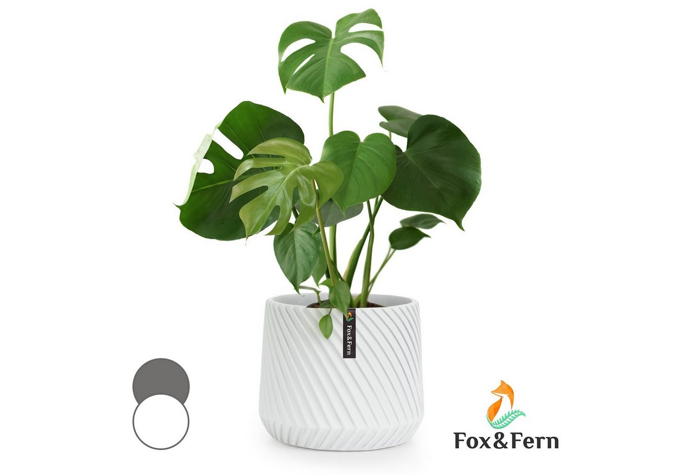 Fox & Fern Hochbeet Heusden Blumentopf von Fox & Fern